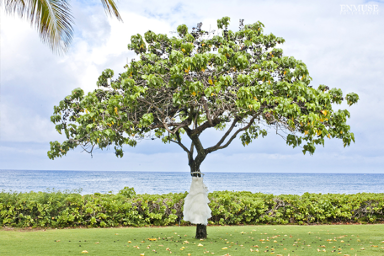 zz03_003-Hawaii-Wedding-Photography-0551