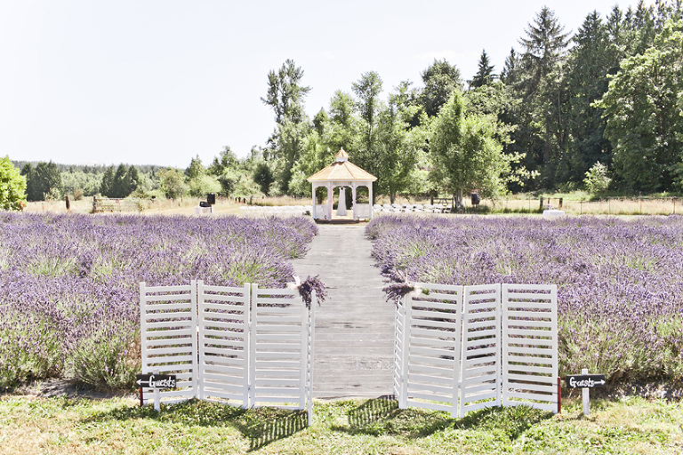 zz50a_009-z0103-Lavender-Farm-Wedding-by-ENMUSE