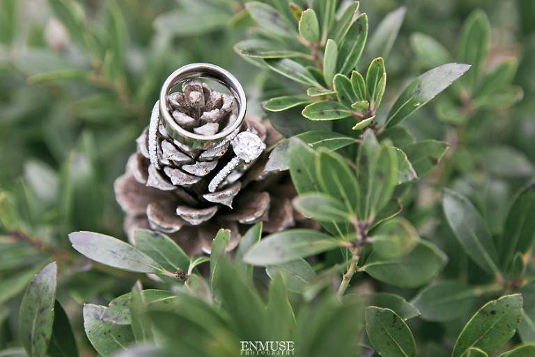 z035_0953 Ashton Gardens Wedding Photography by ENMUSE