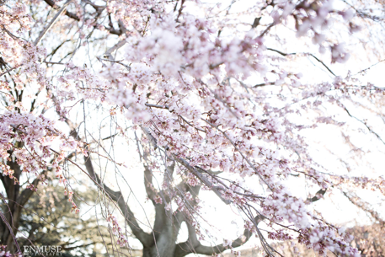 06 Washington DC Engagement Photo by ENMUSE 0575