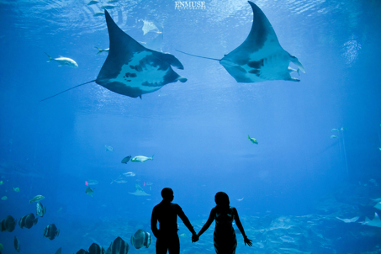 05 Georgia Aquarium Wedding Photography 107