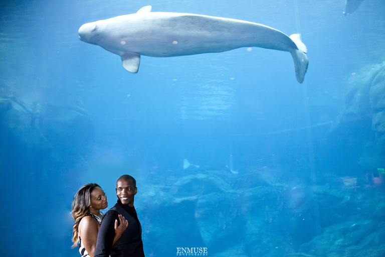 12 Georgia Aquarium Wedding Photography 146