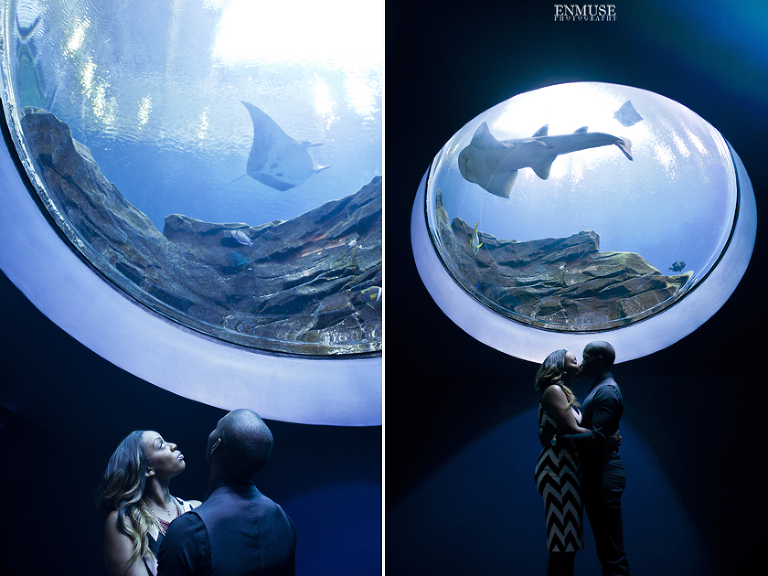 16 Georgia Aquarium Wedding Photography 047