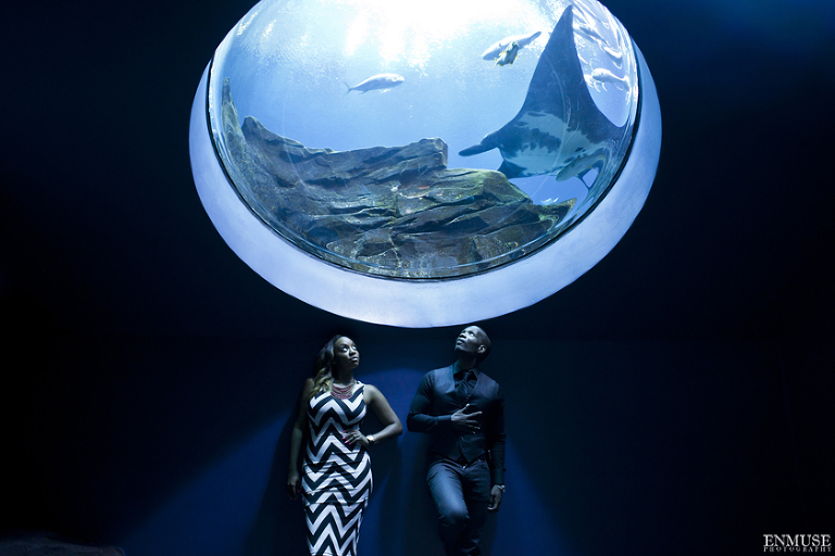 17 Georgia Aquarium Wedding Photography 065