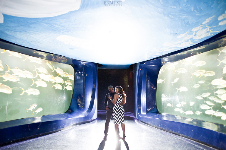 20 Georgia Aquarium Wedding Photography 021