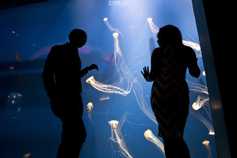 21 Georgia Aquarium Wedding Photography 532