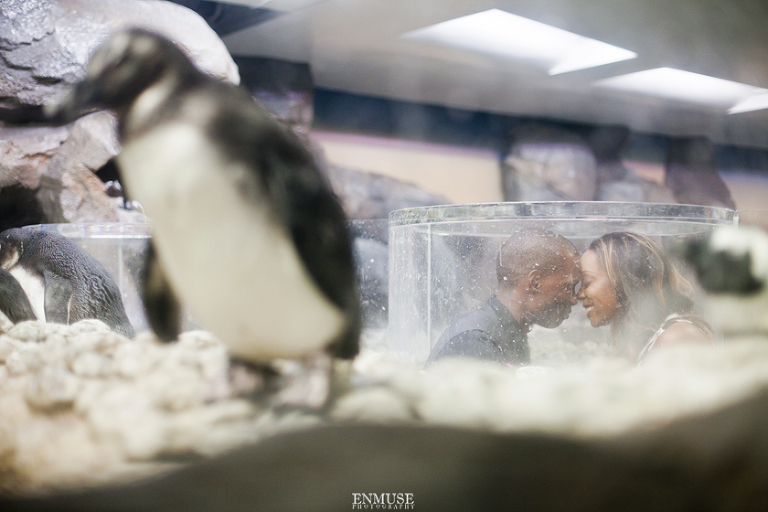 30 Georgia Aquarium Wedding Photography 167