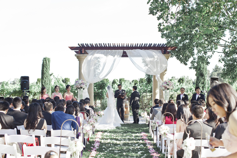 074 Sonoma Napa Valley Winery Wedding Photography 0455