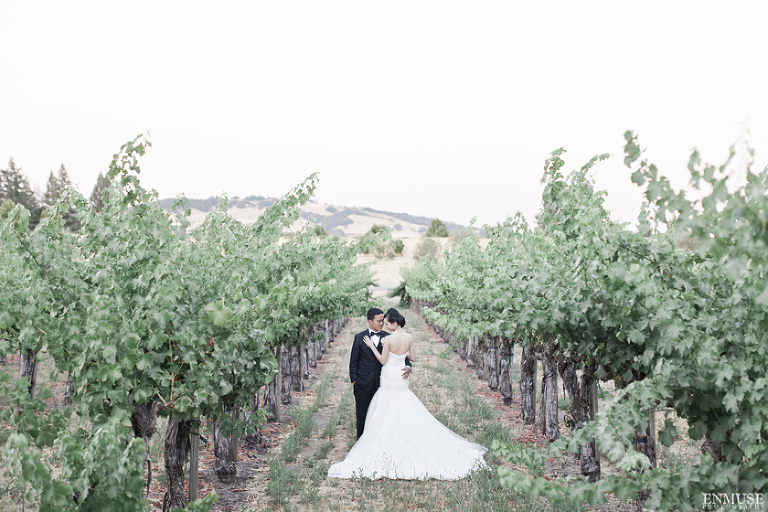 092 Sonoma Napa Valley Winery Wedding Photography 0884