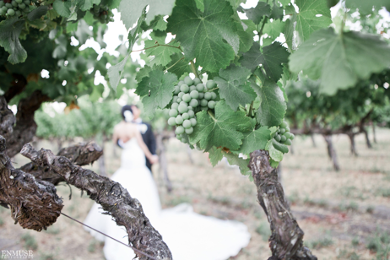 093a Sonoma Napa Valley Winery Wedding Photography 1643