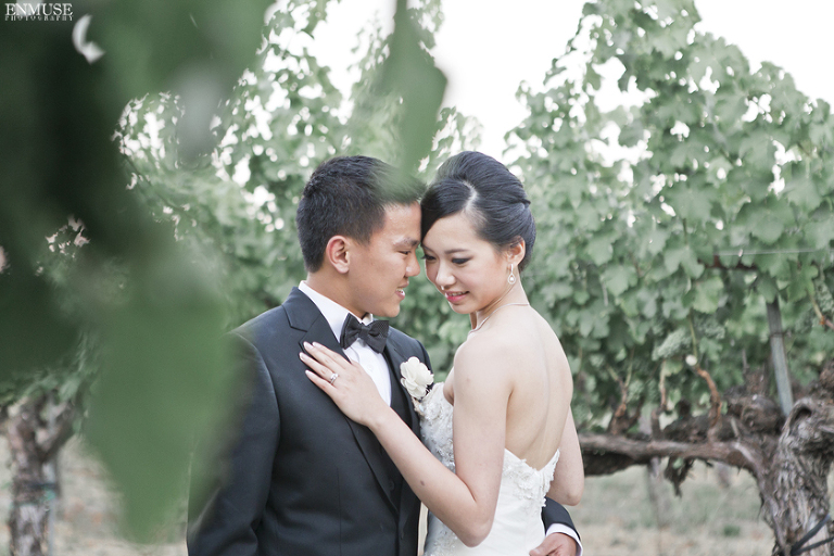 094 Sonoma Napa Valley Winery Wedding Photography 1634