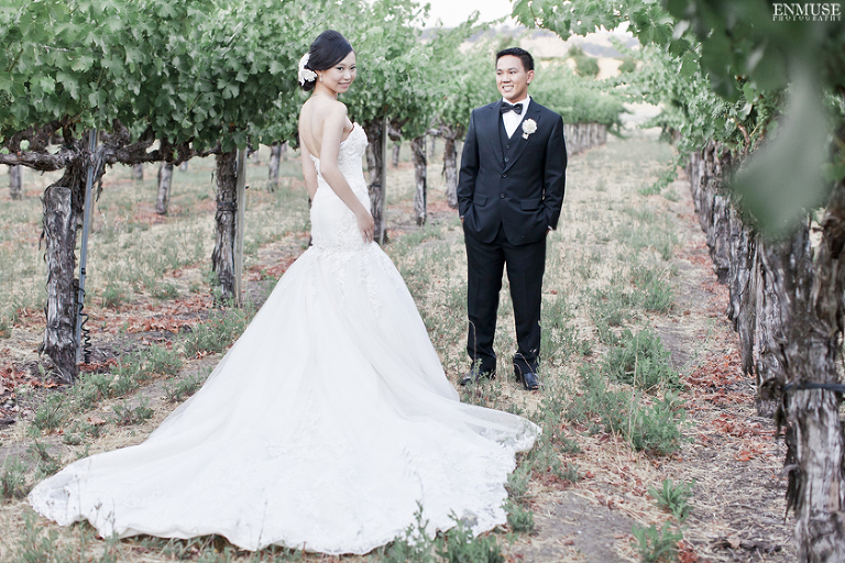 096 Sonoma Napa Valley Winery Wedding Photography 0898