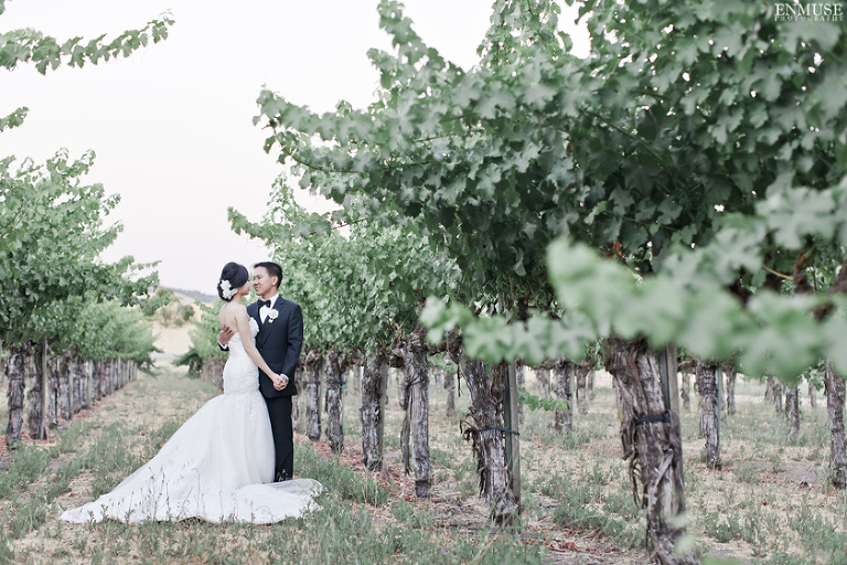 097 Sonoma Napa Valley Winery Wedding Photography 0907