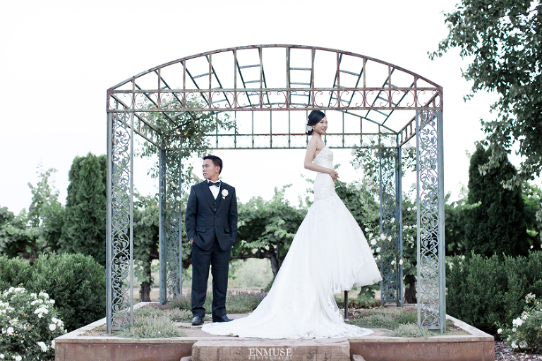 101 Sonoma Napa Valley Winery Wedding Photography 0950