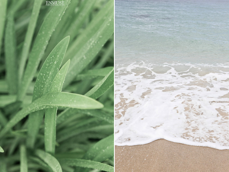 003 W Vieques Puerto Rico Wedding Photography San Juan 1119