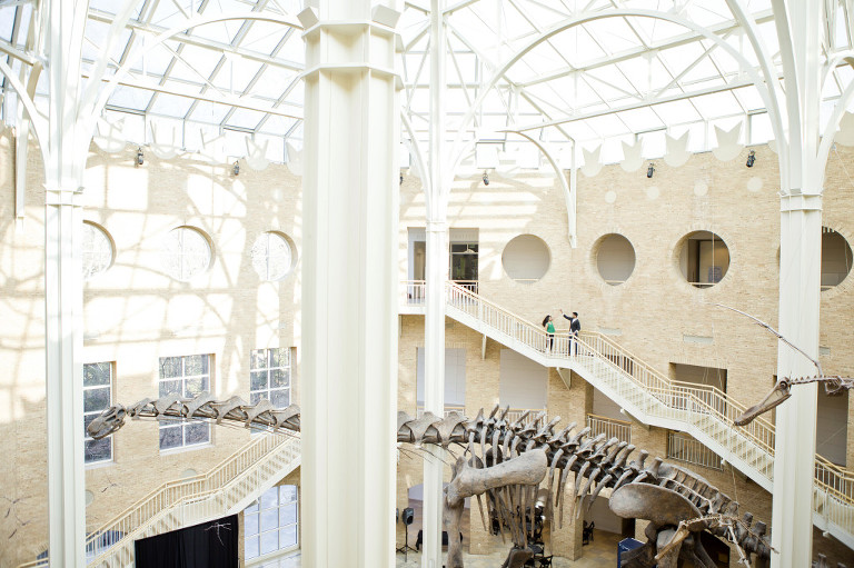 04 Fernbank Museum Wedding Engagement Photography ENMUSE 0405