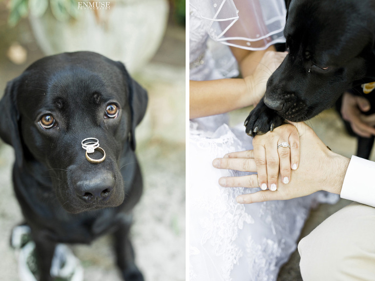 64c  Roswell Gardens at Great Oaks Wedding Photography 2746