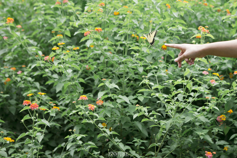 10 Cator Woolford Gardens at Frazer Center Engagement Wedding Photography 549