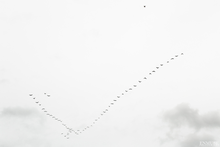 024_Bentwater Yacht and Country Club Wedding Photography_0128